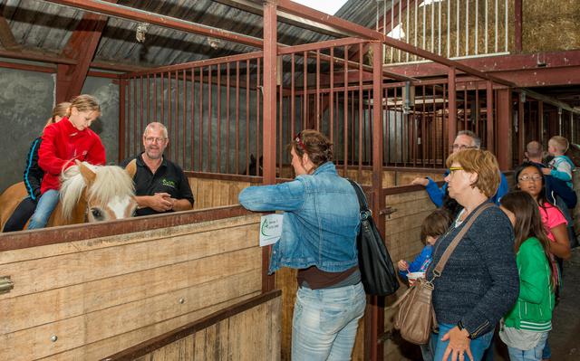 Open Dag 20 Jarige Paardenmelkerij De Lage Wierde In Wirdum Dagblad